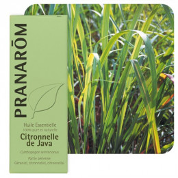 Huile essentielle de Citronnelle de Java 10 ml - Pranarôm