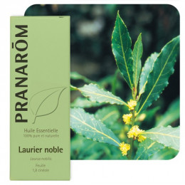 Huile essentielle de Laurier noble 5 ml