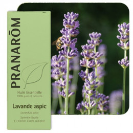 Huile essentielle de Lavande aspic 10 ml - Pranarôm