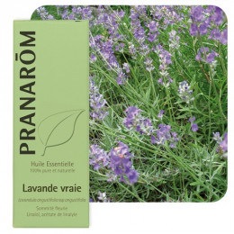 Huile essentielle de Lavande vraie 10 ml - Pranarôm