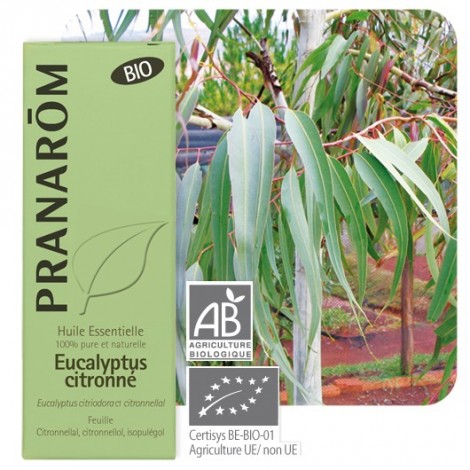 Huile essentielle d'Eucalyptus citronné - BIO !