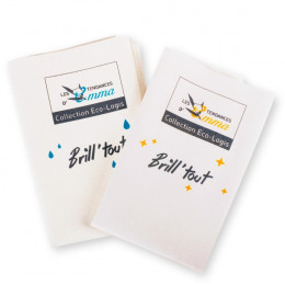 Brill'tout vitres et surfaces brillantes Lot de 2
