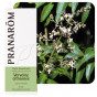 Huile essentielle de Verveine citronnée - 5 ml