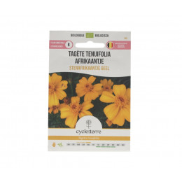 Tagète tenuifolia Sterafrikaantje Geel - 0,10 g